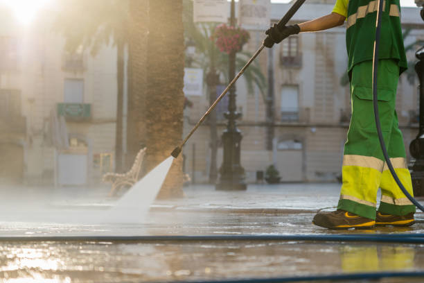 Best Sidewalk and Walkway Cleaning  in Pleasureville, KY